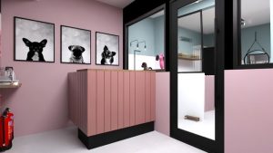Designer de Interiores