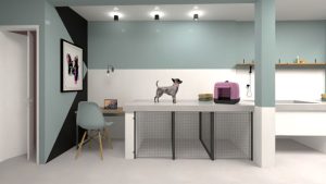 Designer de Interiores