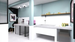 Designer de Interiores